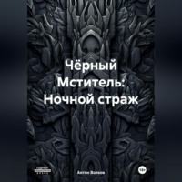 Антон Волков. Чёрный Мститель: Ночной страж