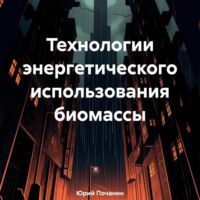 Юрий Степанович Почанин. Технологии энергетического использования биомассы