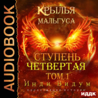 Инди Видум. Крылья Мальгуса. Ступень Четвертая. Том 1