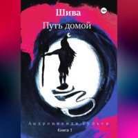 . Шива. Путь домой
