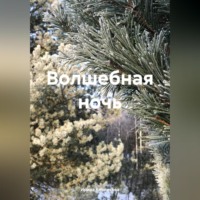 Ирина Клепикова. Волшебная ночь