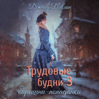 Джейд Дэвлин. Трудовые будни барышни попаданки. Книга 3