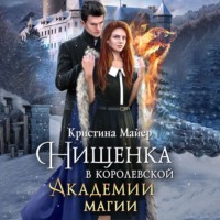 Кристина Майер. Нищенка в Королевской Академии магии. Зимняя практика