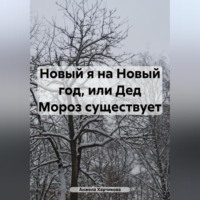 Анжела Харчикова. Новый я на Новый год, или Дед Мороз существует