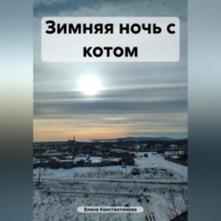 Елена Константинова. Зимняя ночь с котом