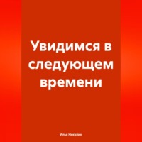 Илья Никулин. Увидимся в следующем времени