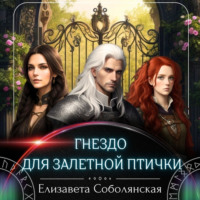 Елизавета Соболянская. Гнездо для залетной птички