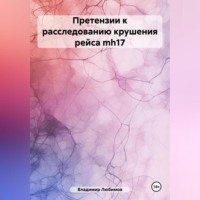 Владимир Николаевич Любимов. Претензии к расследованию крушения рейса mh17