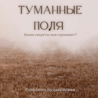 Розалина Будаковская. Туманные поля