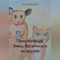 . Приключение Зямы, Василисы и их друзей
