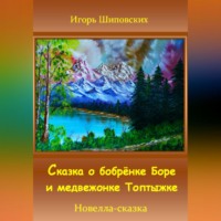 Игорь Дасиевич Шиповских. Сказка о бобрёнке Боре и медвежонке Топтыжке