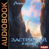 Антон Текшин. Застрявший. Книга 3. Застрявший в Кишке