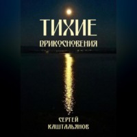 Сергей Валентинович Каштальянов. Тихие прикосновения