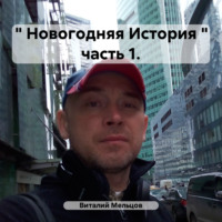 Виталий Валерьевич Мельцов. «Новогодняя История» часть 1.