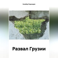 Кахабер Отарович Родинадзе. Развал Грузии