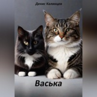 Денис Александрович Калинцев. Васька
