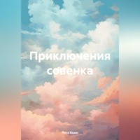 Рита Вьюн. Приключения совенка