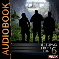 Сергей Панченко. Я стираю свою тень. Книга 6