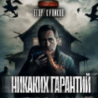 . Никаких гарантий