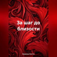 Владимир Никитин. За шаг до близости