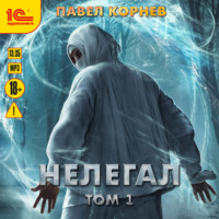 . Нелегал. Том 1