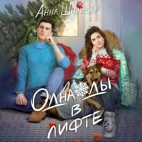 Анна Шнайдер. Однажды в лифте