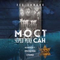 Лев Симкин. Мост через реку Сан. Холокост: пропущенная страница