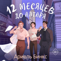Ариель Бинкс. 12 месяцев до алтаря