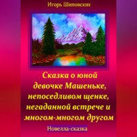 Игорь Дасиевич Шиповских. Сказка о юной девочке Машеньке, непоседливом щенке, негаданной встрече и многом-многом другом