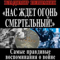 . Нас ждет огонь смертельный! Самые правдивые воспоминания о войне