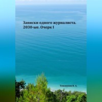 . Записки одного журналиста. 2030-ые. Очерк I