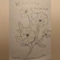 Сергей Александрович Иванец. Красота Мира