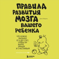 . Правила развития мозга вашего ребенка