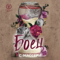 С. Массери. Боец