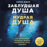 Карен Джой. Заблудшая душа – мудрая душа. Как испытания прошлых жизней формируют наше будущее
