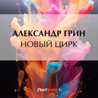 . Новый цирк