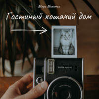 Мари Микитас. Гостиный кошачий дом