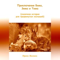 Ирина Малина. Приключения Бима, Зима и Тима. Сказочная история для продвинутых малышей