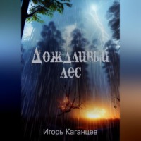Игорь Каганцев. Дождливый лес