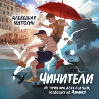 Александр Матюхин. Чинители
