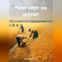Юрий Владимирович Смородников. Чем чёрт не шутит