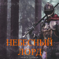 Игорь Юрьевич Жаворонков. Небесный Лорд