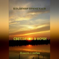 Владимир Примечаев. Светлячок в ночи