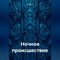 . Ночное происшествие