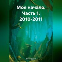 Денис Александрович Груздев. Мое начало. Часть 1. 2010-2011