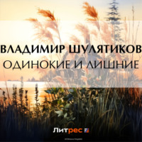 Владимир Михайлович Шулятиков. Одинокие и лишние