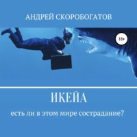 Андрей Валерьевич Скоробогатов. Икейа