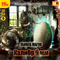 . Убивец магов. Калибр 9 мм
