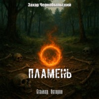 . Сталкер. Истории. Пламень