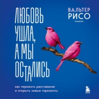 Вальтер Рисо. Любовь ушла, а мы остались. Как пережить расставание и открыть новые горизонты